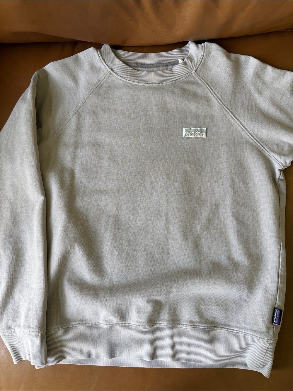 Patagonia Pastel P-6 Label Organic Crew Sweatshirt